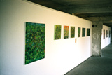 Harry Birkholz Exhibition Usine 2006 - click on the image